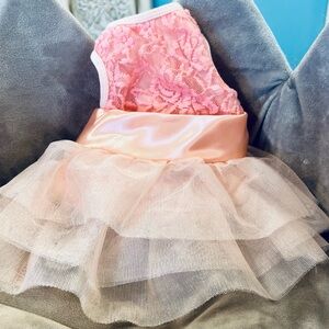 Pink Lace and Tulle Pet Dress. Size  Small.
